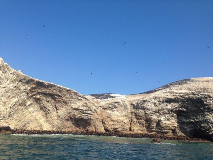 Lima: Ballestas & Huacachina Day Trip W/ Nazca Lines Flight - Frequently Asked Questions