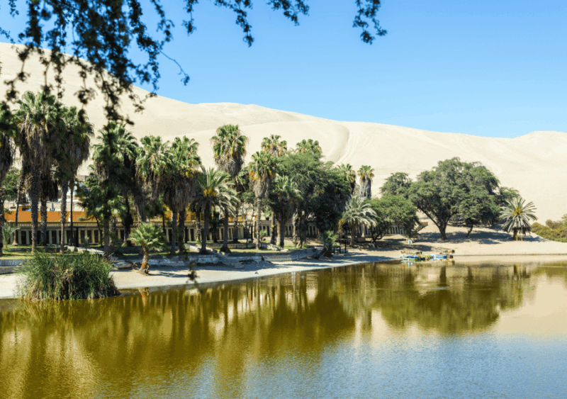 Lima: Ballestas Islands, Nazca Lines, and Huacachina Tour - Nazca Lines Aerial View
