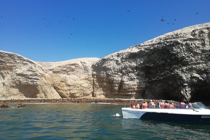 Lima: Ballestas Islands, Winery & Huacachina Oasis Private Tour - Itinerary Details