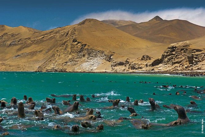 Lima City Highlights ( All Included! ) - Accessibility and Participation