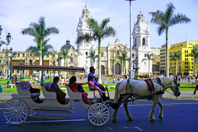 Lima City in 1 Day (Limas Main Highlights) Transport Included - Getting Around Lima