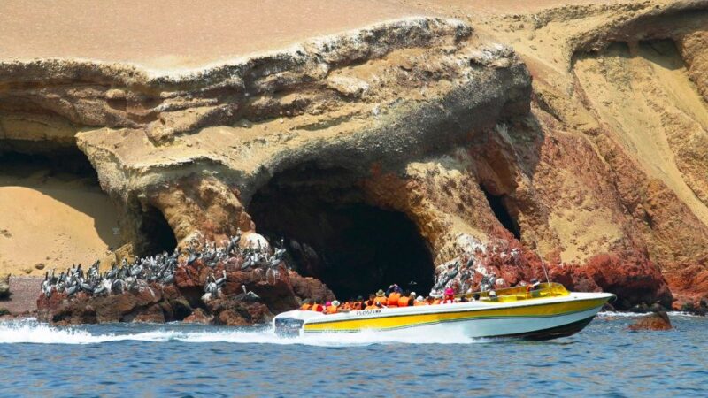Lima: Day Bus Tour to Paracas & Hacienda San Jose Tunnels - Tour Exclusions