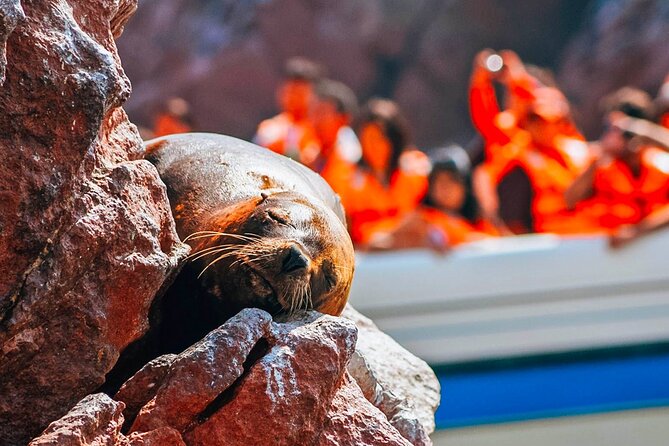 Lima Full Day Tour: Paracas and Huacachina Oasis - Expectations and Recommendations