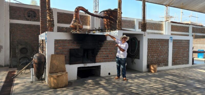 Lima: Full Day Tour to Paracas, Vineyards and Huacachina - Ballestas Islands Guided Tour