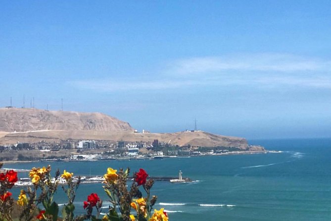 Lima Gourmet Food Tour: Daytime Experience - Ceviche Class and Market Tour