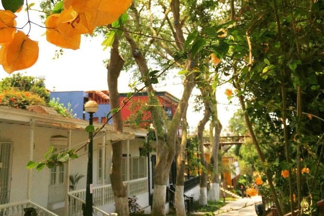 Lima Gourmet Food Tour: Daytime Experience - Gourmet Lunch With Scenic Views