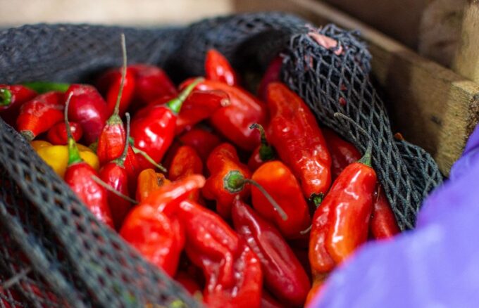 Lima: Historic Center Street Food, Market, and Eateries Tour - Language and Dietary Considerations