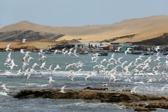 Lima: Ica, City Tour Cusco, Machu Picchu for 5d|| Hotel 4** - Inclusions and Exclusions