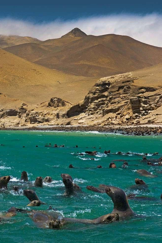 Lima-Ica-Cusco, Machu Picchu, Lake Humantay || 8D + 4* Hotel - Daily Itinerary