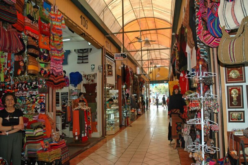 Lima: Indian Market Private Guided Tour - Market Experience