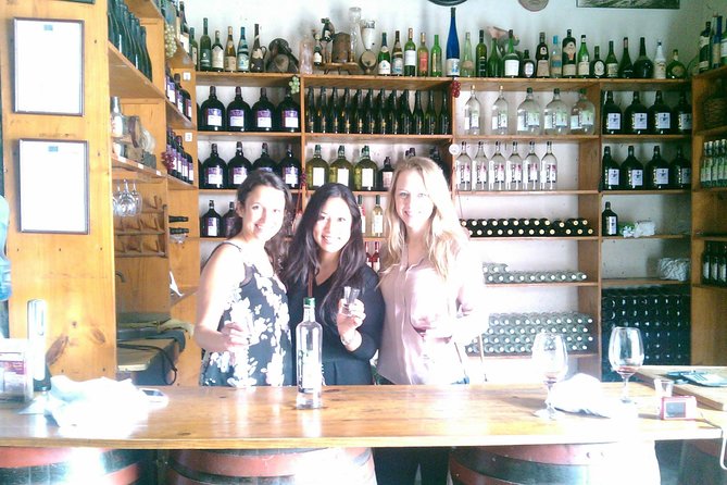 Lima: Local Wine Tour - Comfort of Air-Conditioned Transportation