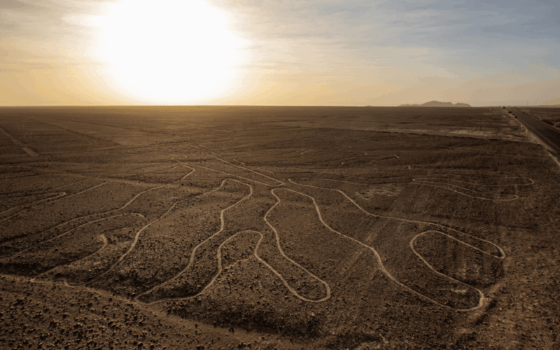 Lima: Magnificent Nazca Lines, Oasis Huacachina & Sunset - Transportation and Guides