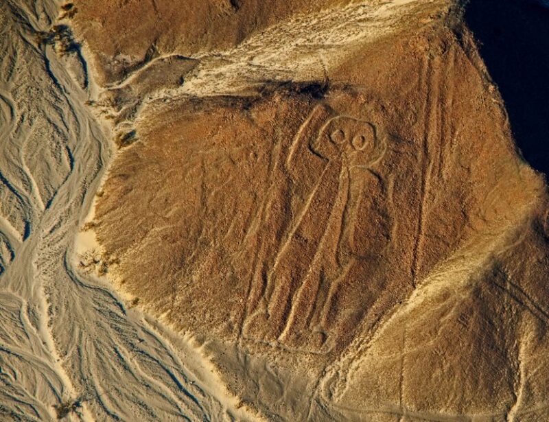Lima: Nazca Lines, Winery and Huacachina Oasis Private Tour - Customer Reviews and Ratings