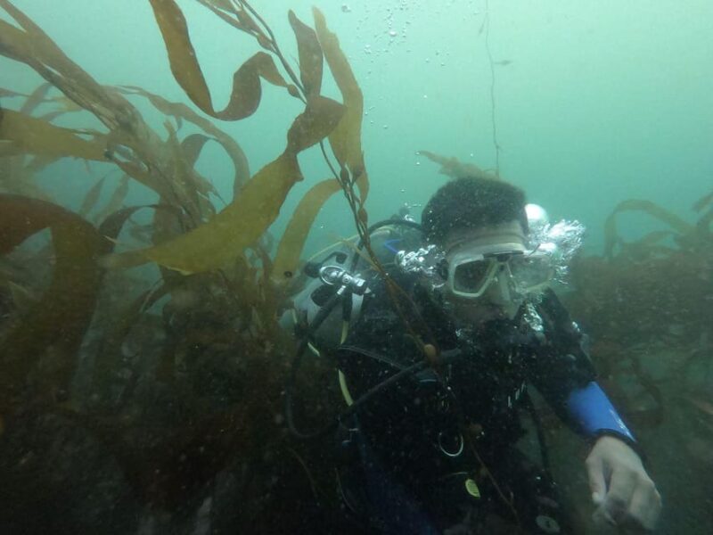 Lima: PADI Open Water Diver- Diving Course - Wildlife and Locations