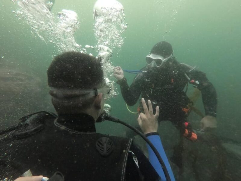 Lima: PADI Open Water Diver- Diving Course - Certification and Diving Depth