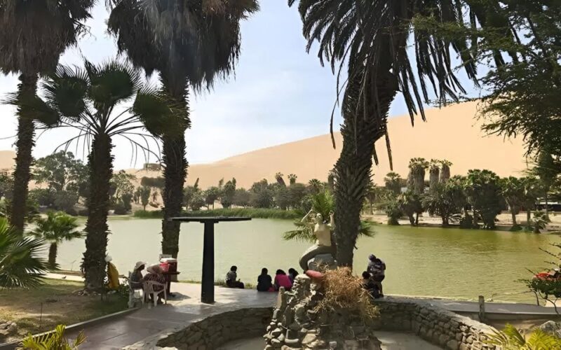Lima: Paracas & Huacachina Oasis Day Trip With Wine & Dunes - Customer Feedback