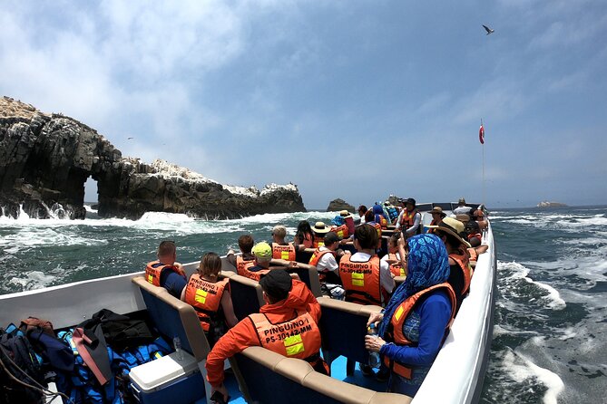 Lima Peru Sea Lions, History and Palomino Callao Islands - Customer Feedback and Ratings