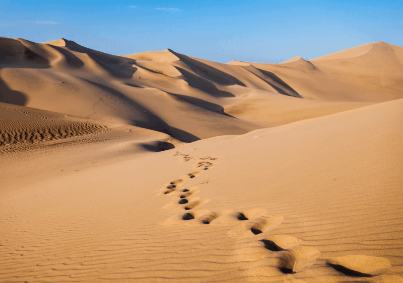 Lima: Private Tour to Paracas and Huacachina Oasis & Sunset - Included in the Tour