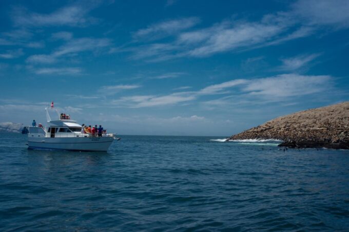 Lima: Sea Lion Swim and Wildlife Palomino Islands Cruise - Frequently Asked Questions