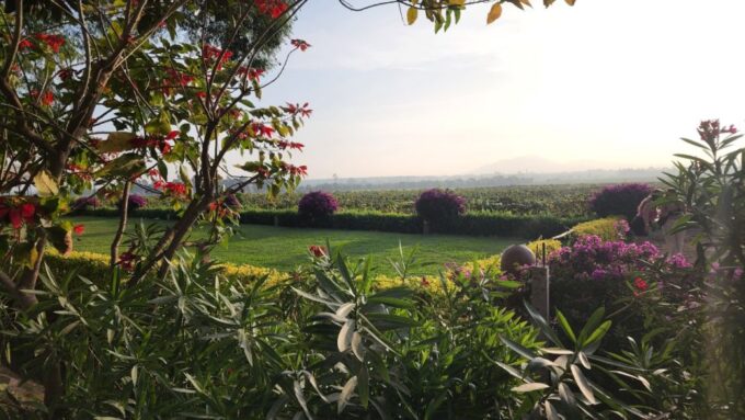 Lima to Nazca: Private 8-day Immersive Cultural Road Trip - Dining and Cuisine