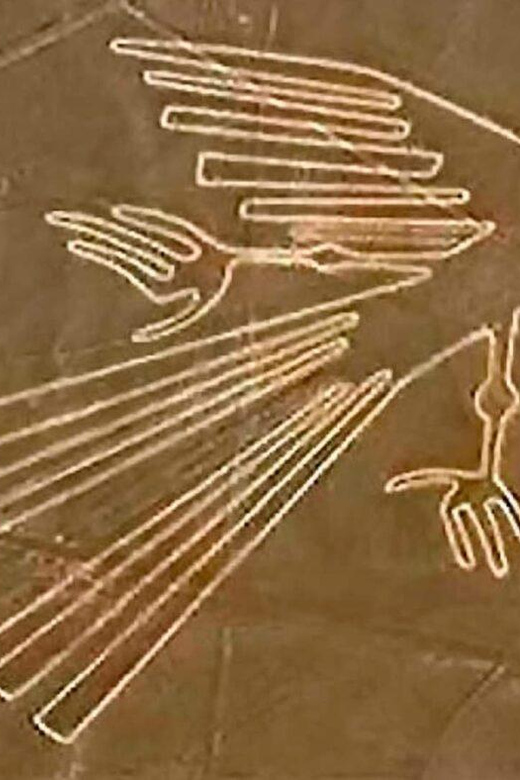 LIMA || Tour to the Nazca Lines and Chauchilla Cemetery - Nazca Lines Observation