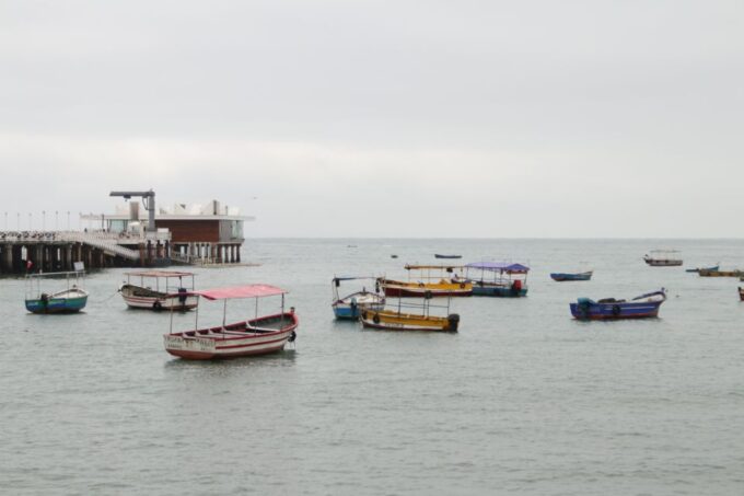 Limas Food Tour Through Local Markets & Barranco Visit - Customer Reviews Highlights
