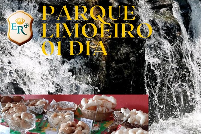 Limoeiro Park 01 Day - Key Points