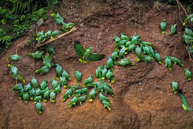 Limoncocha Biological Reserve & Yasuní National Park / Tropical Andes to Amazon - Overview of the Tour