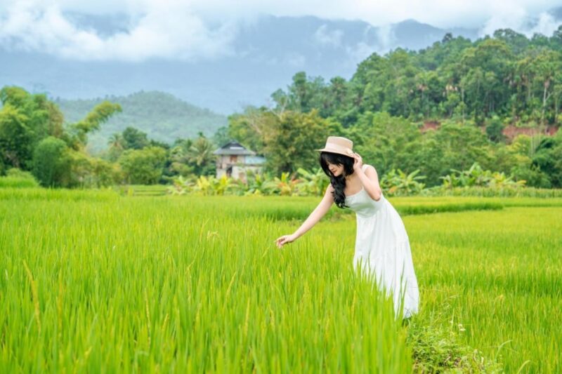 Limousine Bus From Hanoi to Mai Chau - Bus Features and Amenities
