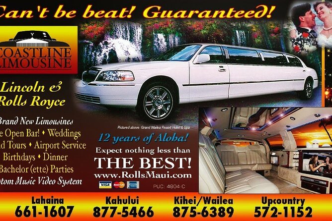 Limousine Service - Key Points