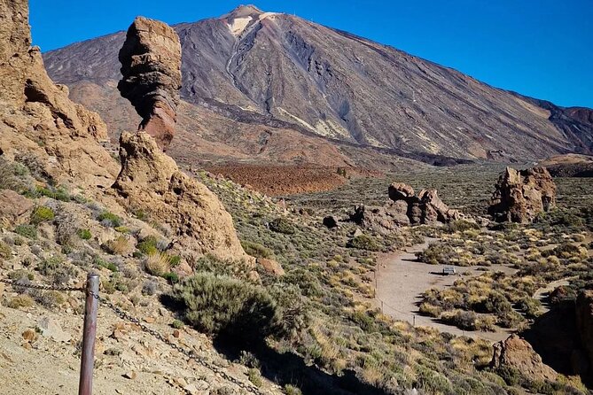 Limousine Tour Teide Day & Sunset. Drinks Included. Small Group. - Traveler Participation