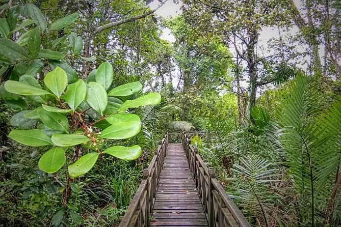 Limpaki Wetland Nature Night Walk - Tour Details