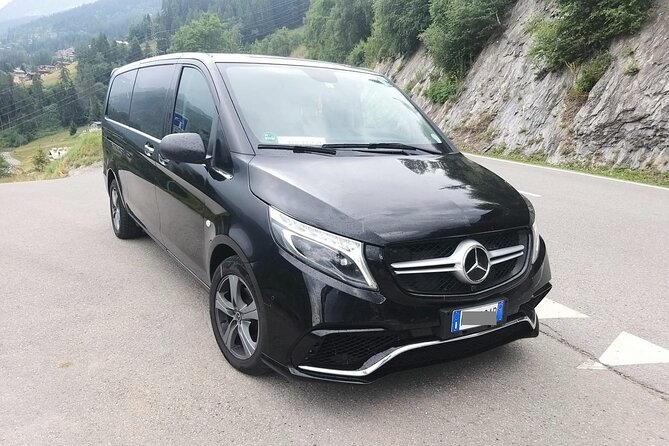 Linate Airport Milan (LIN) to Milan - Arrival Private Transfer - Accessibility and Amenities
