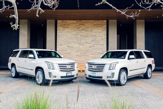 Lincoln Navigator Roundtrip Luxury Transportation - Meeting and Departure
