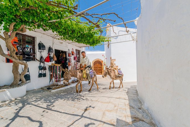 Lindos by Express MiniBus (Small Group) - Group Size and Accessibility