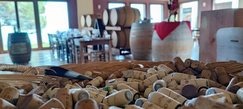 Linguaglossa: Turkish Spa and Massage With Wine Tasting - Wine Tasting and Lunch Highlights