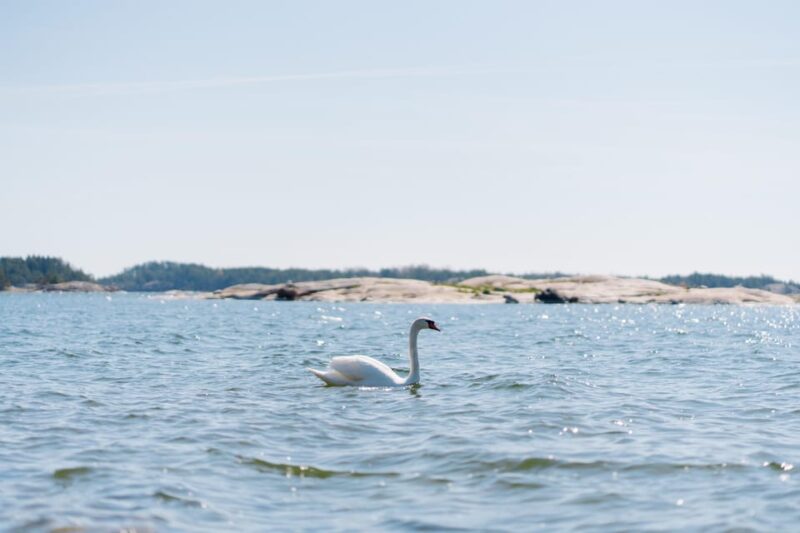 Linlo : Exclusive Day Tour on an Island - Good To Know