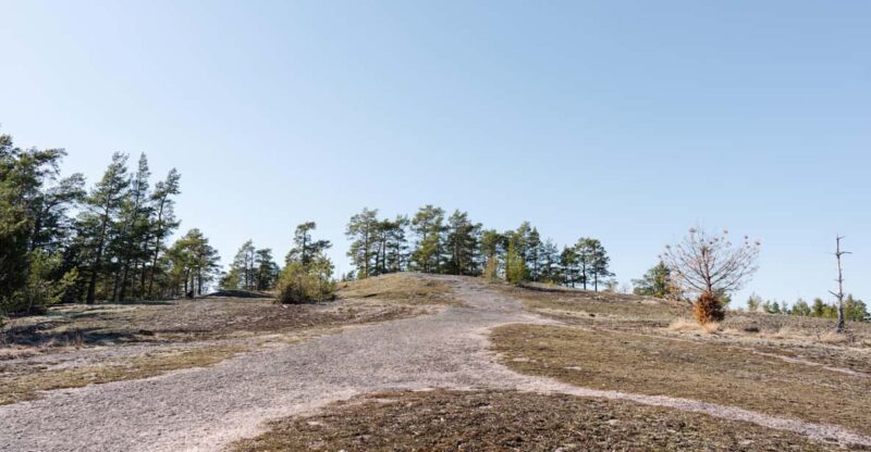 Linlo : Exclusive Day Tour on an Island - Linlo Island Features