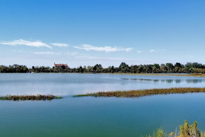 Lio Piccolo: Flamingos & Birdwatching Bike Tour in the Venetian Lagoon - Group Size and Inclusions