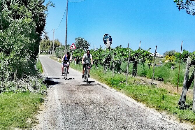 Lio Piccolo: Flamingos & Birdwatching Bike Tour in the Venetian Lagoon - Cancellation and Booking Policies