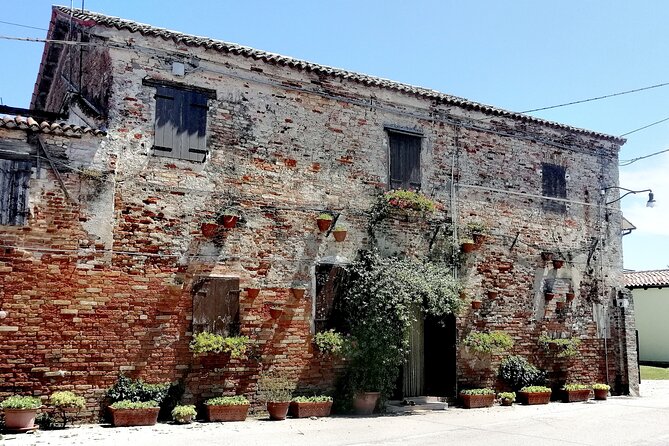 Lio Piccolo: Flamingos & Birdwatching Bike Tour in the Venetian Lagoon - Discovering the Natural Beauty