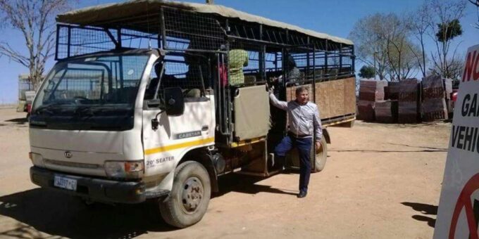 Lion and Safari Park: Open Vehicle Game Drive - Wildlife Sightings Highlights