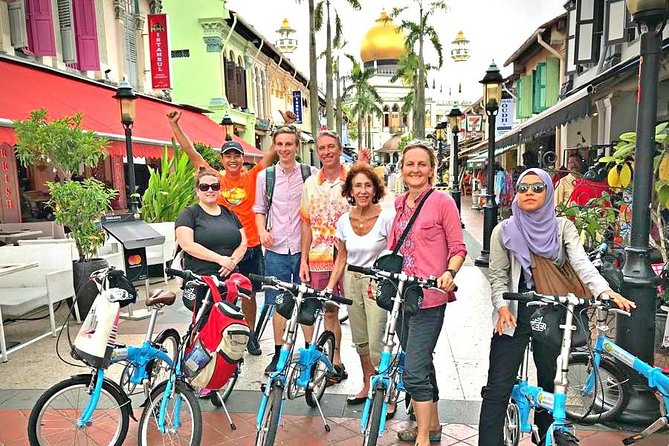 Lion City Bike Tour of Singapore - Reasons to Book