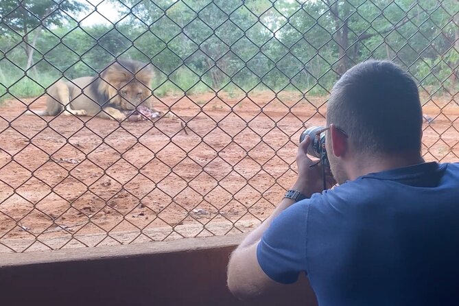 Lion & Wildlife Sanctuary Excursion Victoria Falls - Sanctuary Exploration