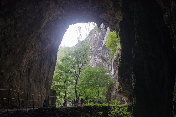 Lipica Stud Farm and Skocjan Caves From Piran or Portoroz or Izola - Lipica Stud Farm