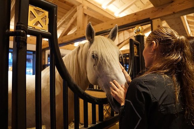 Lipica Stud Farm and Skocjan Caves From Piran or Portoroz or Izola - Inquiries and Support