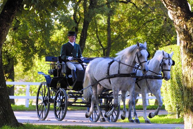 Lipica Stud Farm- Private Experience From Koper - Quick Points