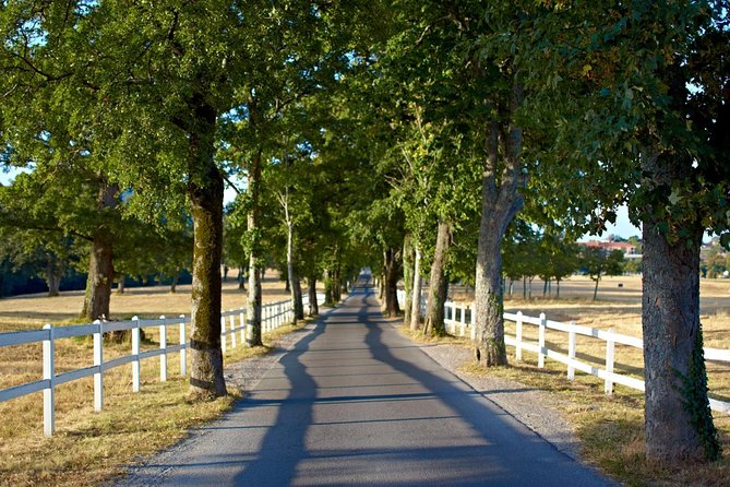 Lipica Stud Farm- Private Experience From Koper - Private Tour Highlights