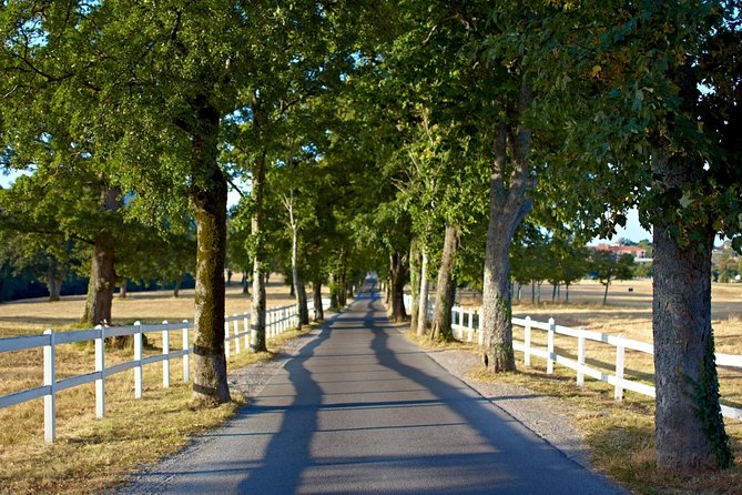 Lipica Stud Farm & Skocjan Caves From Trieste - Booking and Reviews