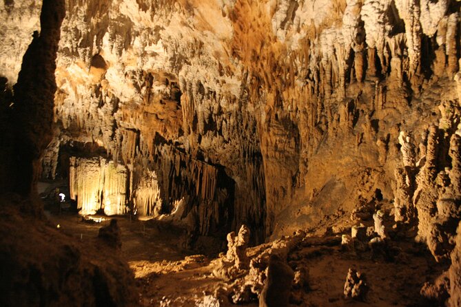 Lipica Stud Farm & Skocjan Caves - Small Group Tour From Koper - Traveler Considerations
